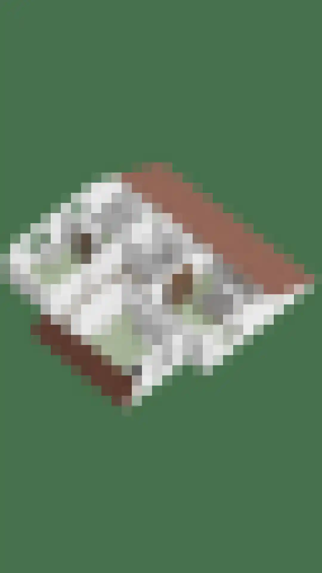 Bosscheweg 44 A Den Dungen thumbnail 74