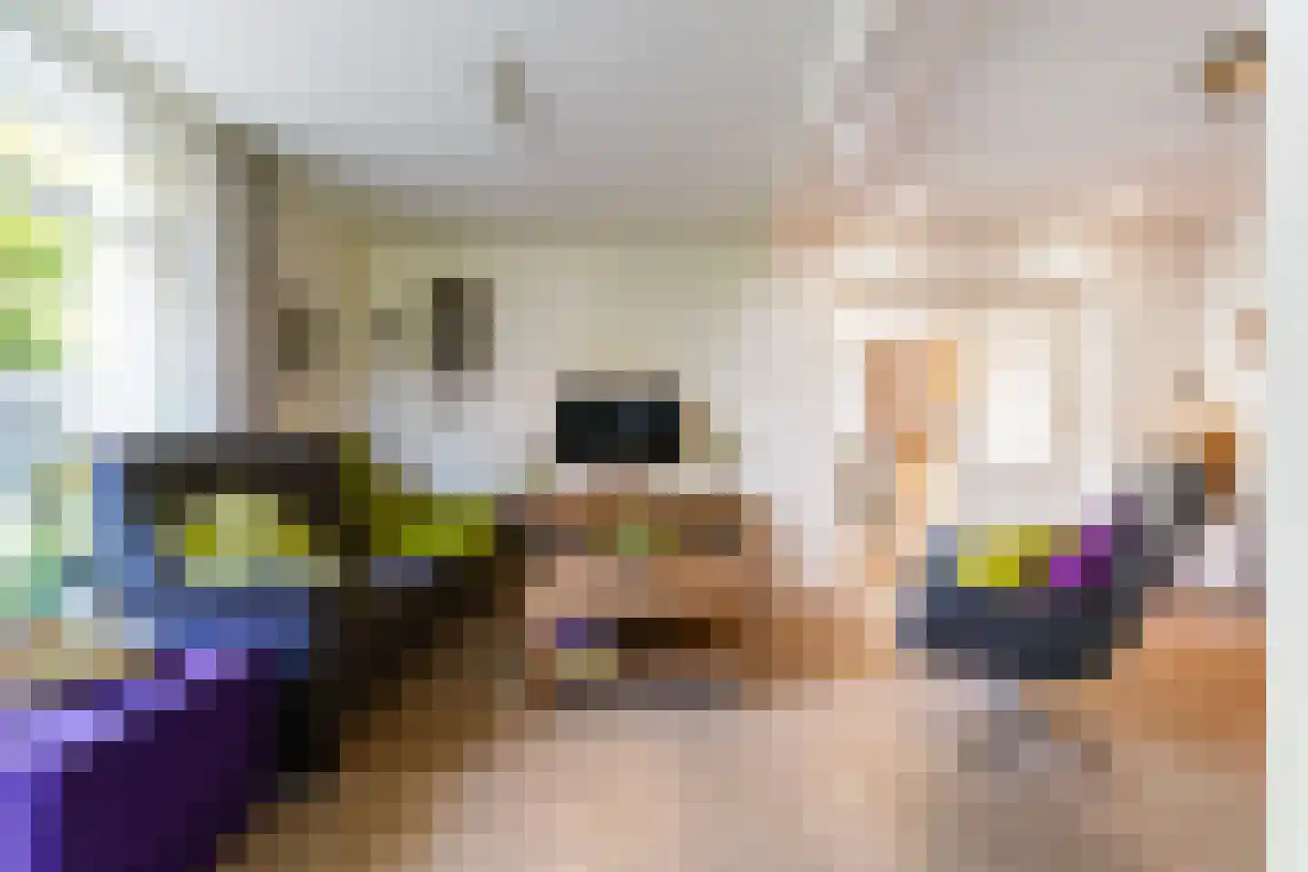 Bosscheweg 44 A Den Dungen thumbnail 8