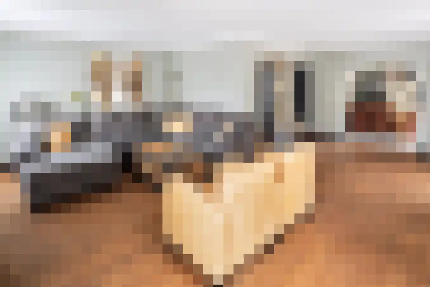 Bosscheweg 44 Beek en Donk thumbnail 11