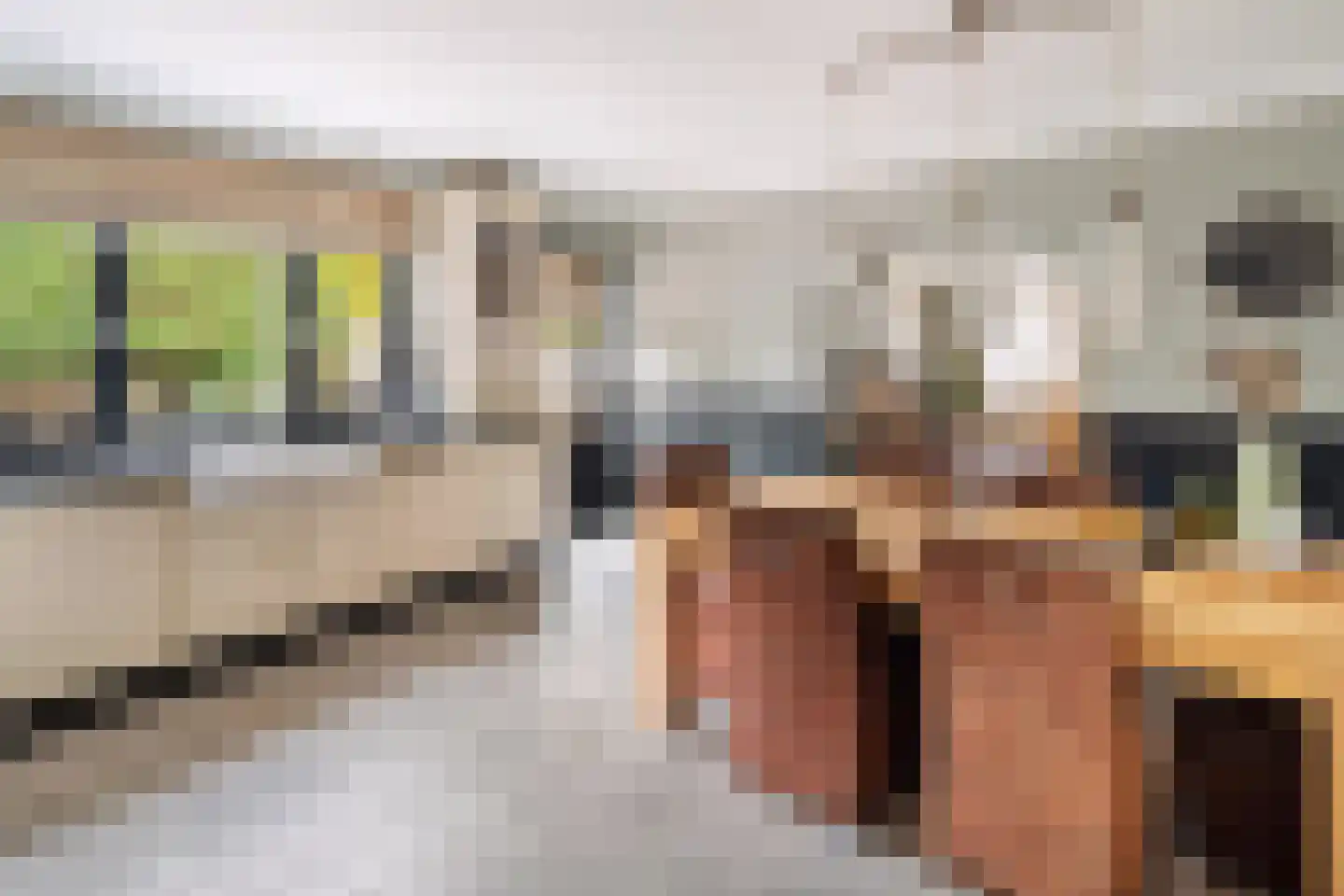 Bosscheweg 44 Beek en Donk thumbnail 16