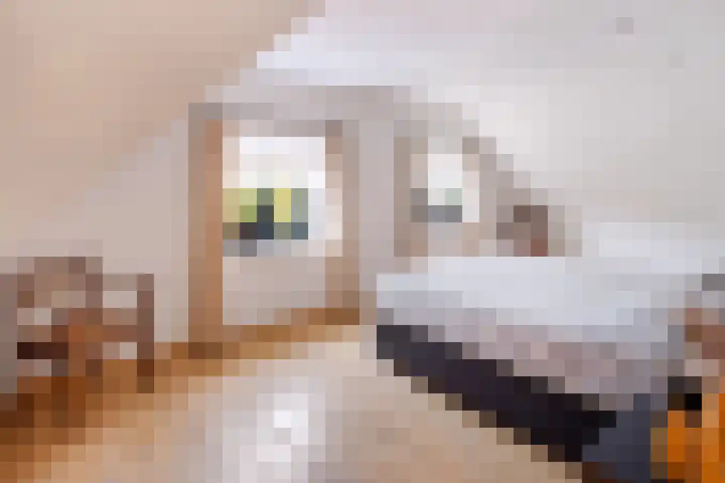 Bosscheweg 44 Beek en Donk thumbnail 24