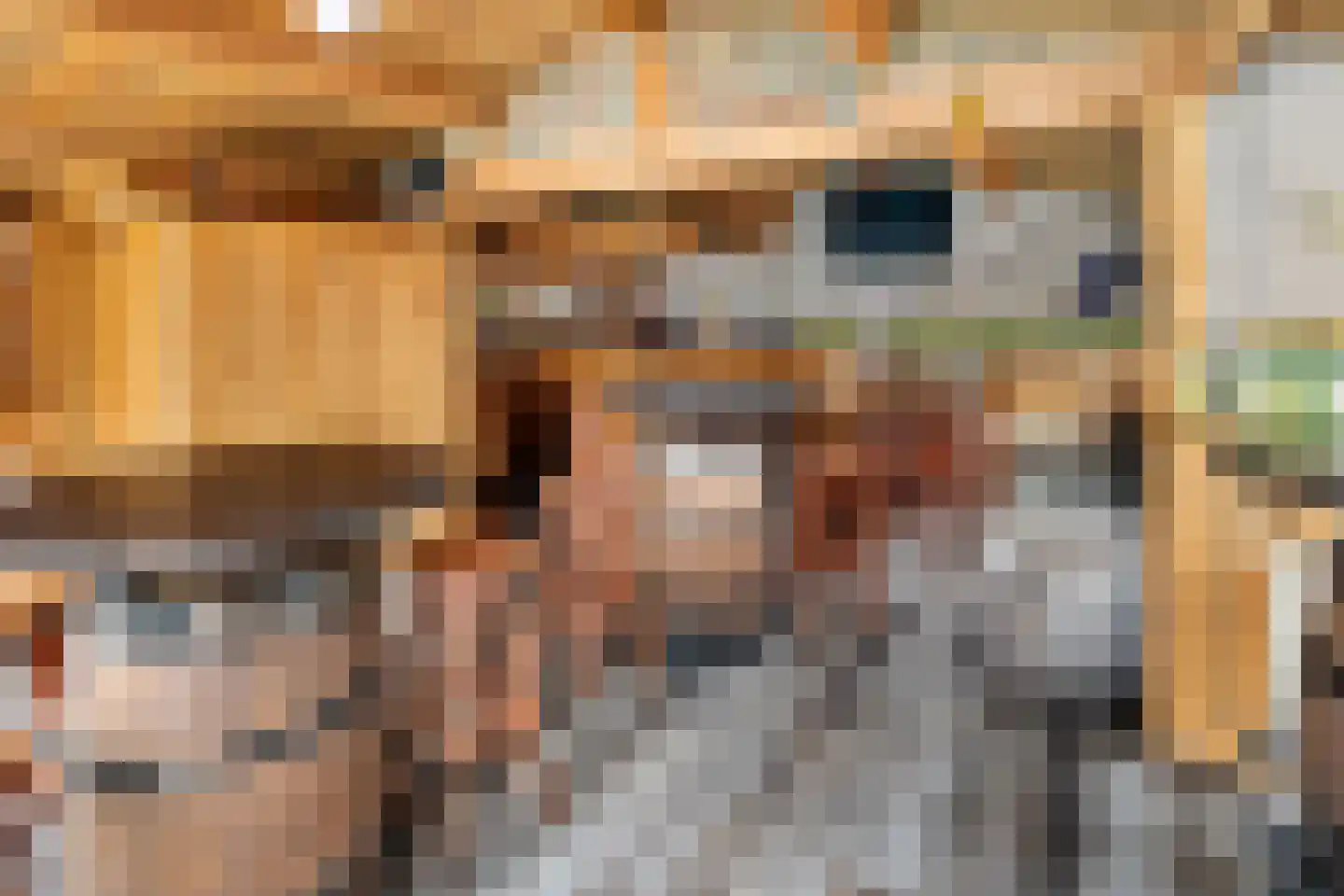 Bosscheweg 44 Beek en Donk thumbnail 42