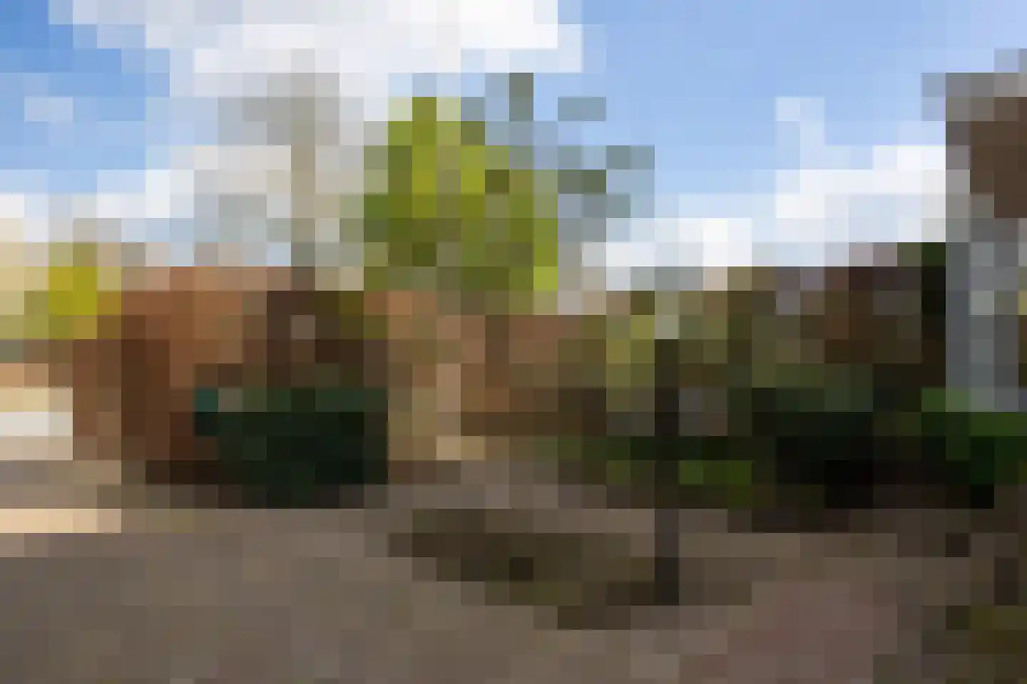 Bosscheweg 59 Vught thumbnail 12