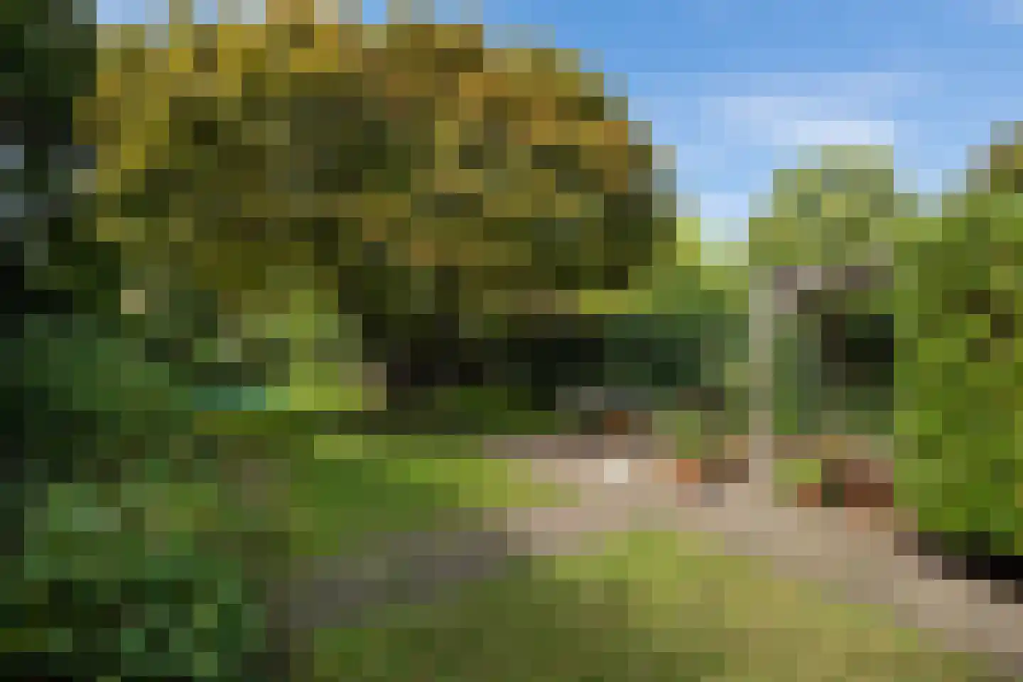 Bosscheweg 59 Vught thumbnail 32
