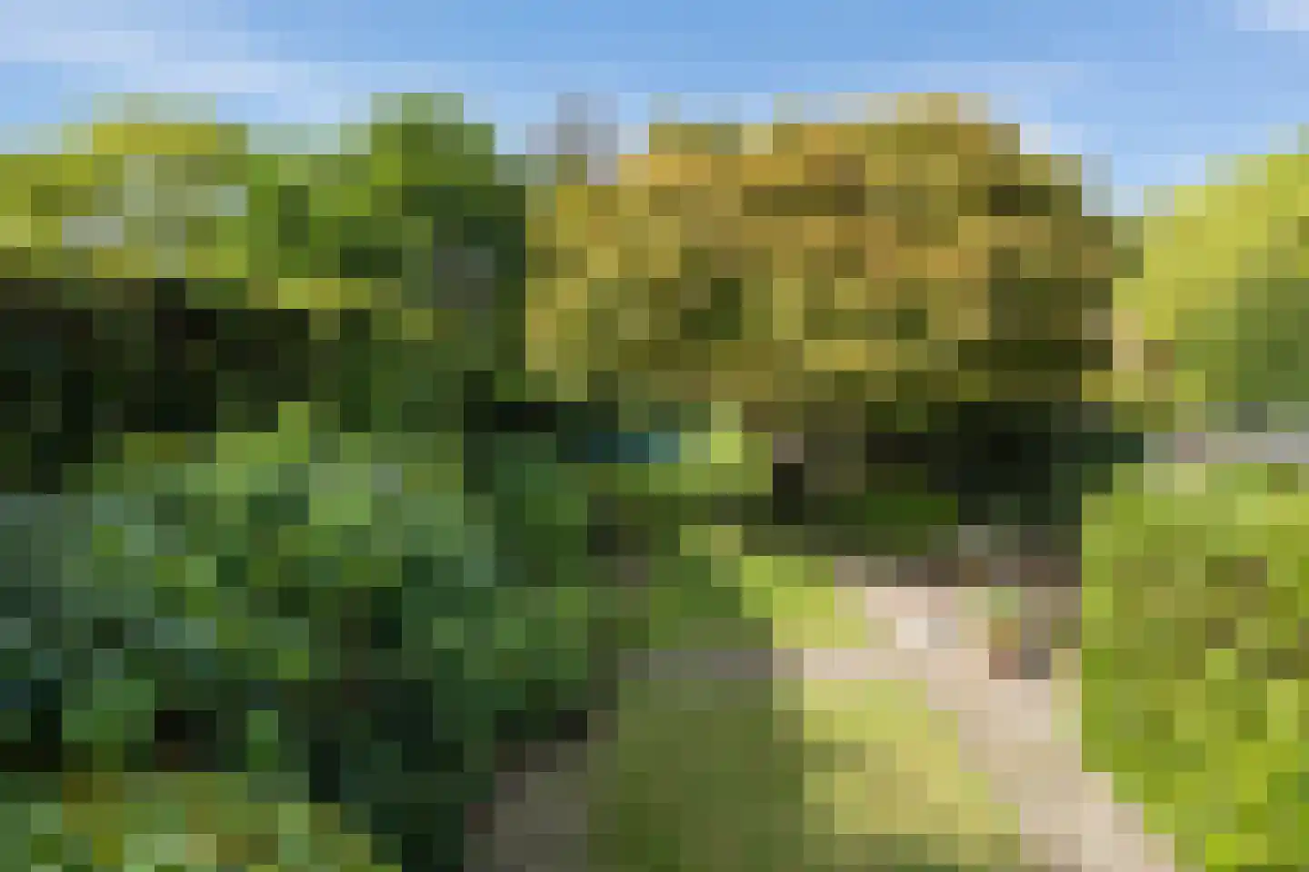 Bosscheweg 59 Vught thumbnail 33