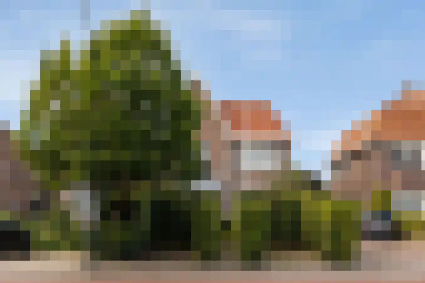 Bosscheweg 59 Vught thumbnail 34