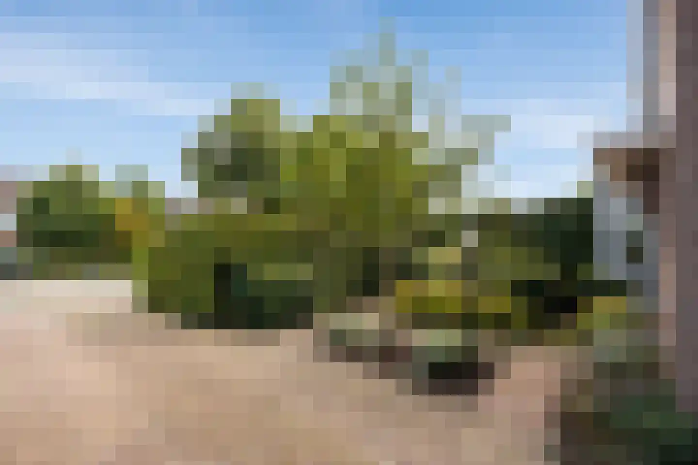 Bosscheweg 59 Vught thumbnail 37