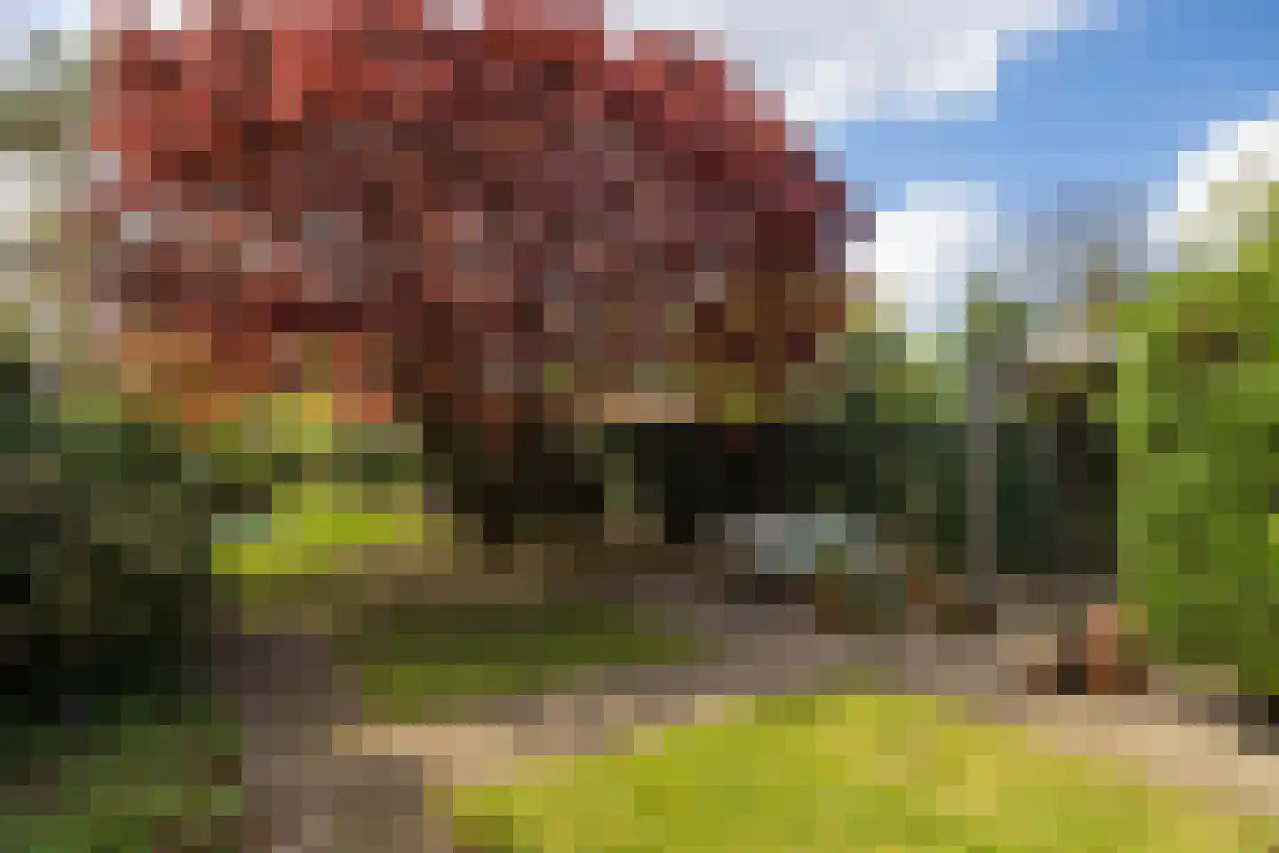 Bosscheweg 59 Vught thumbnail 50