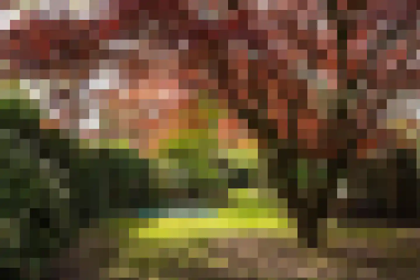 Bosscheweg 59 Vught thumbnail 51