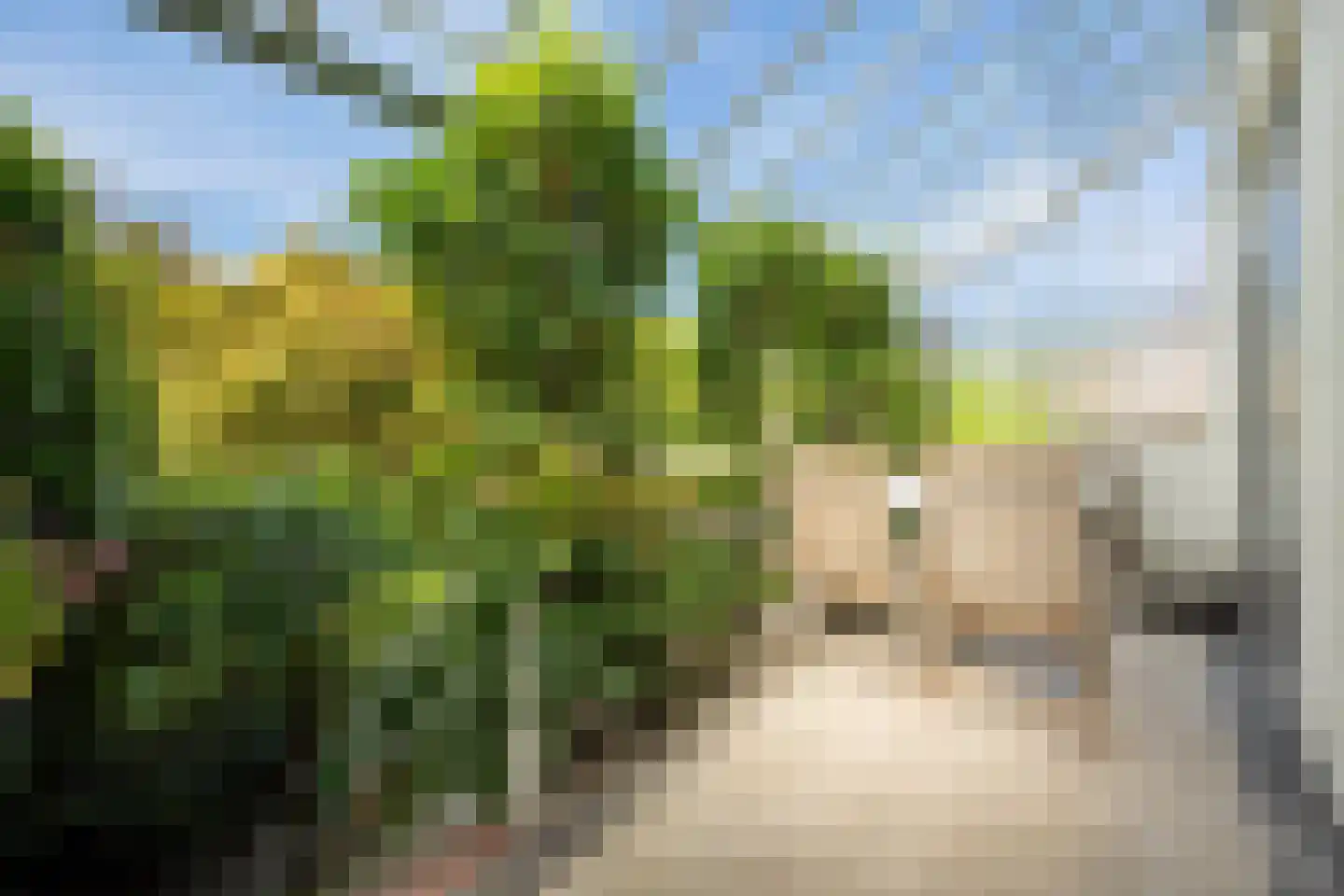 Bosscheweg 59 Vught thumbnail 6