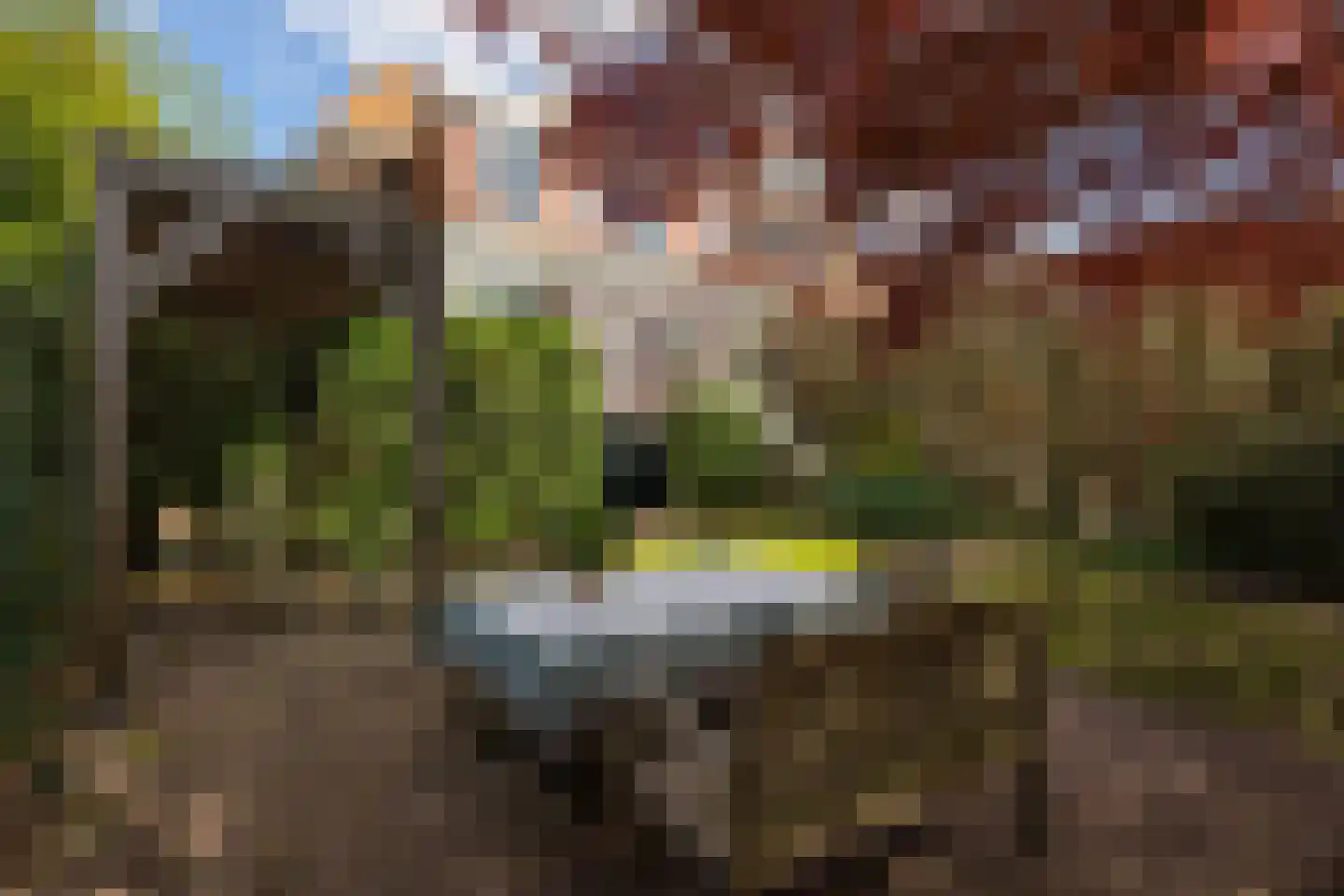 Bosscheweg 59 Vught thumbnail 6