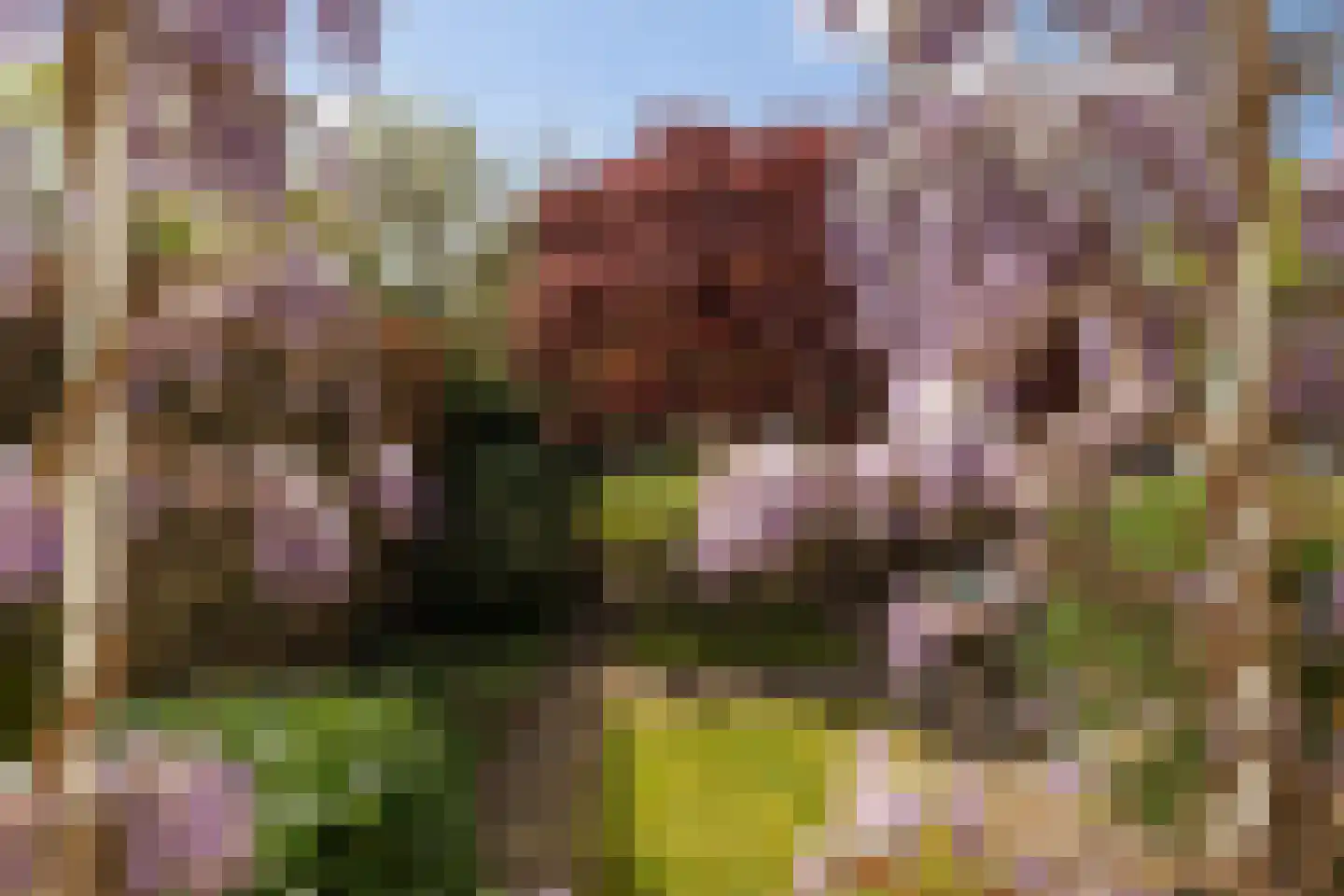 Bosscheweg 59 Vught thumbnail 60