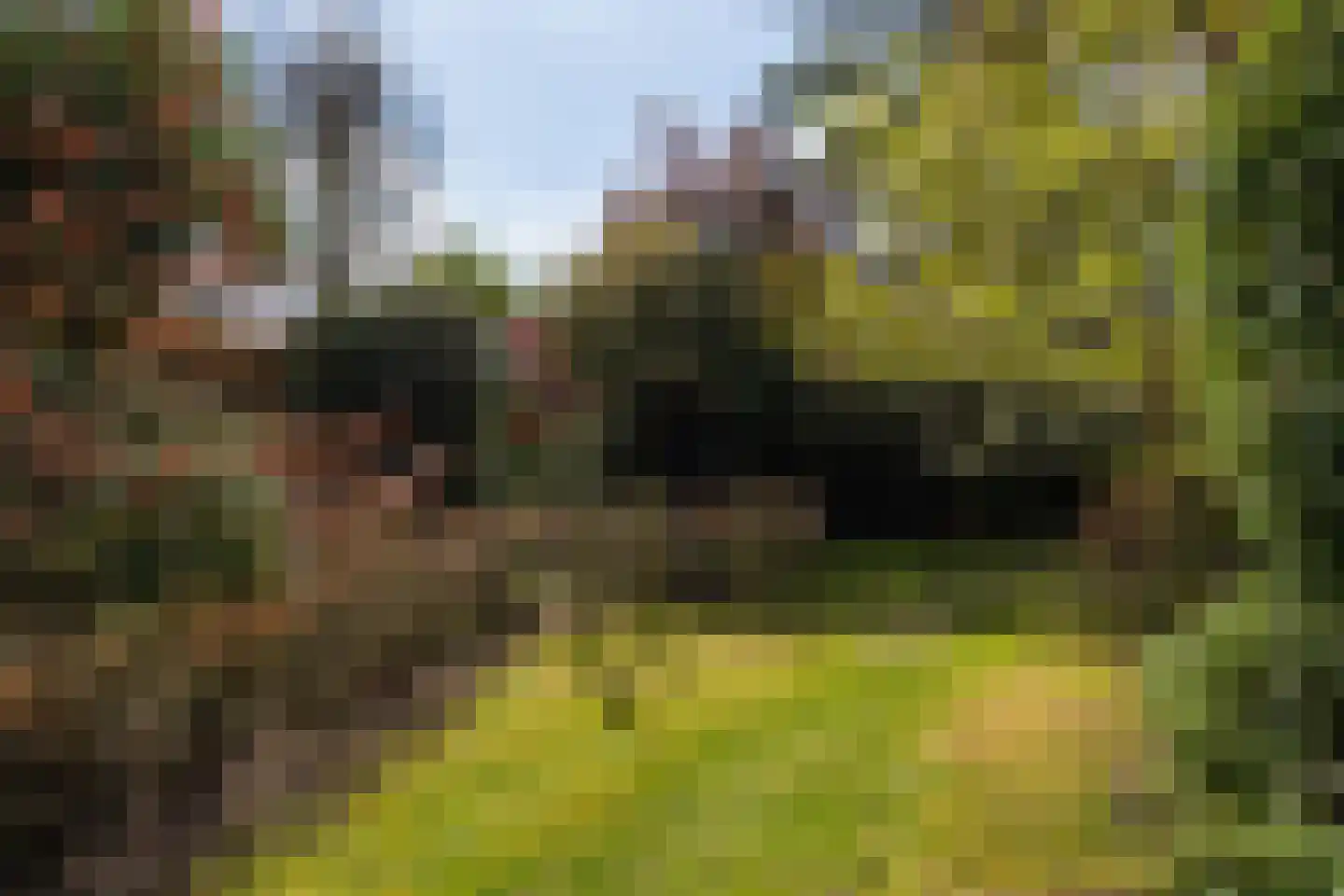 Bosscheweg 59 Vught thumbnail 61