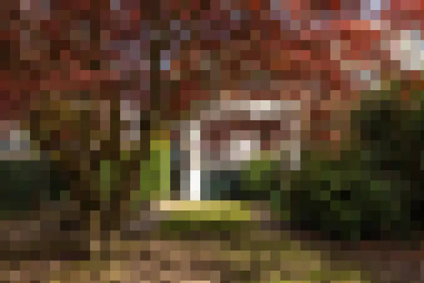 Bosscheweg 59 Vught thumbnail 64