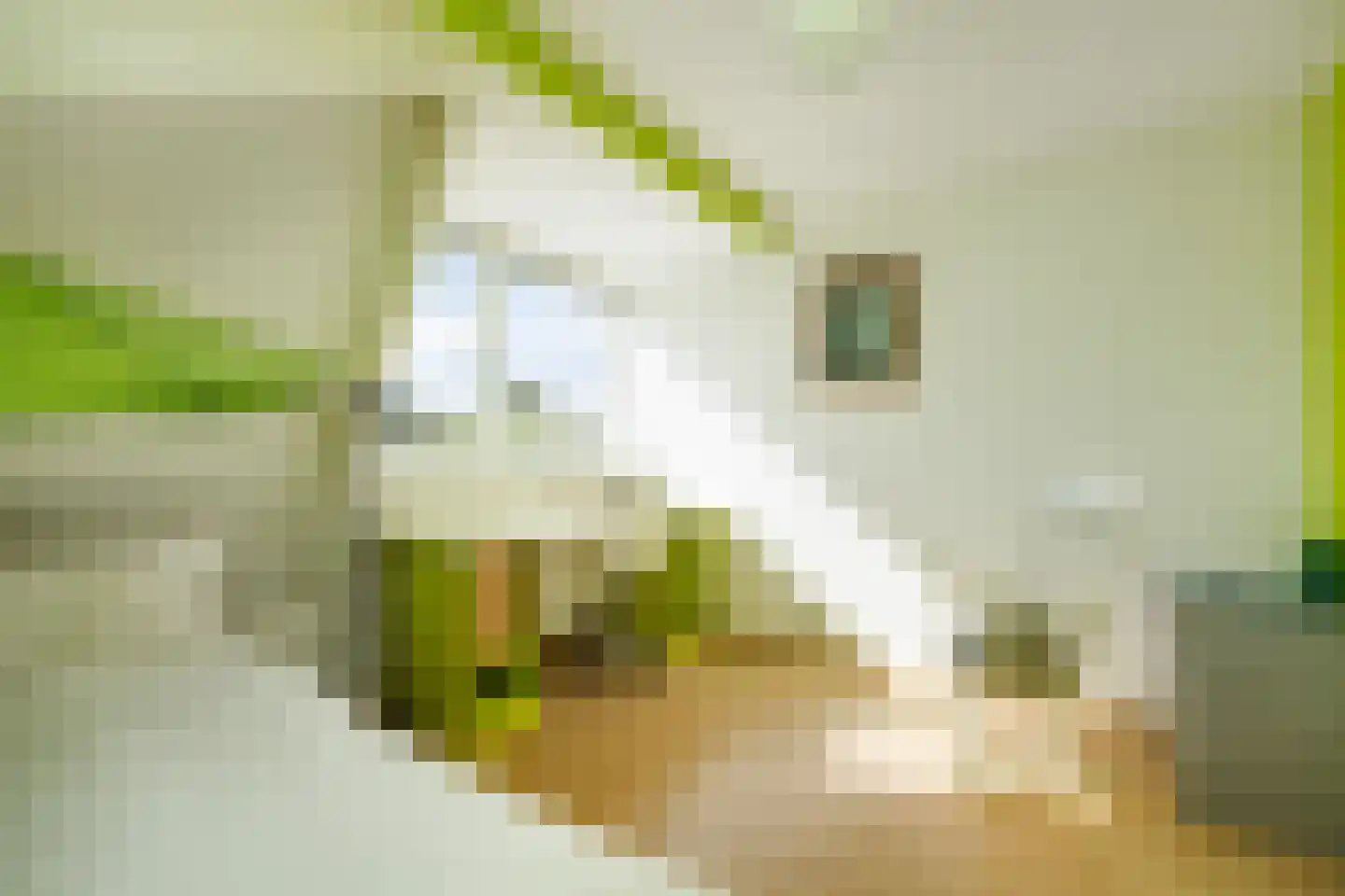 Bosscheweg 59 Vught thumbnail 88