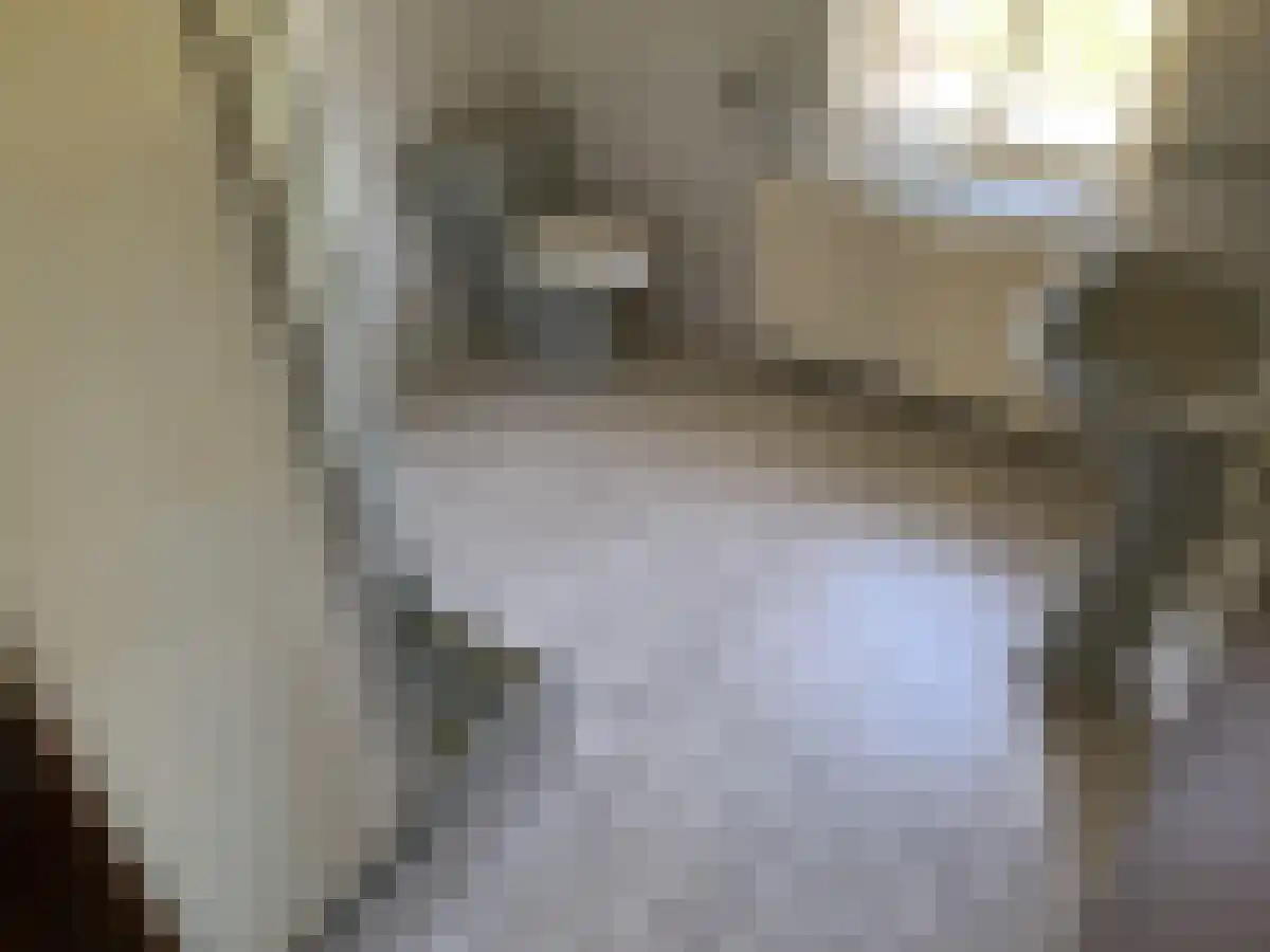 Bosscheweg 6 Beek en Donk thumbnail 5