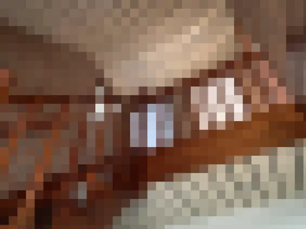 Bosscheweg 6 Beek en Donk thumbnail 6