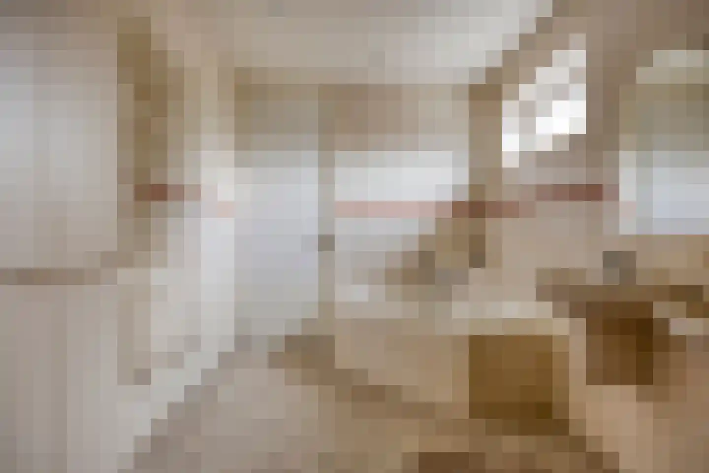 Bosscheweg 72 02 Berkel-Enschot thumbnail 35