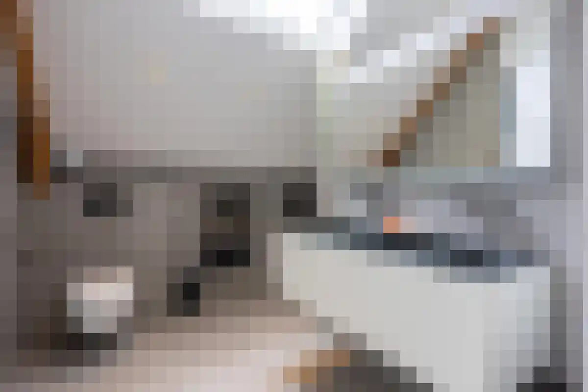 Bosscheweg 72 Berkel-Enschot thumbnail 5