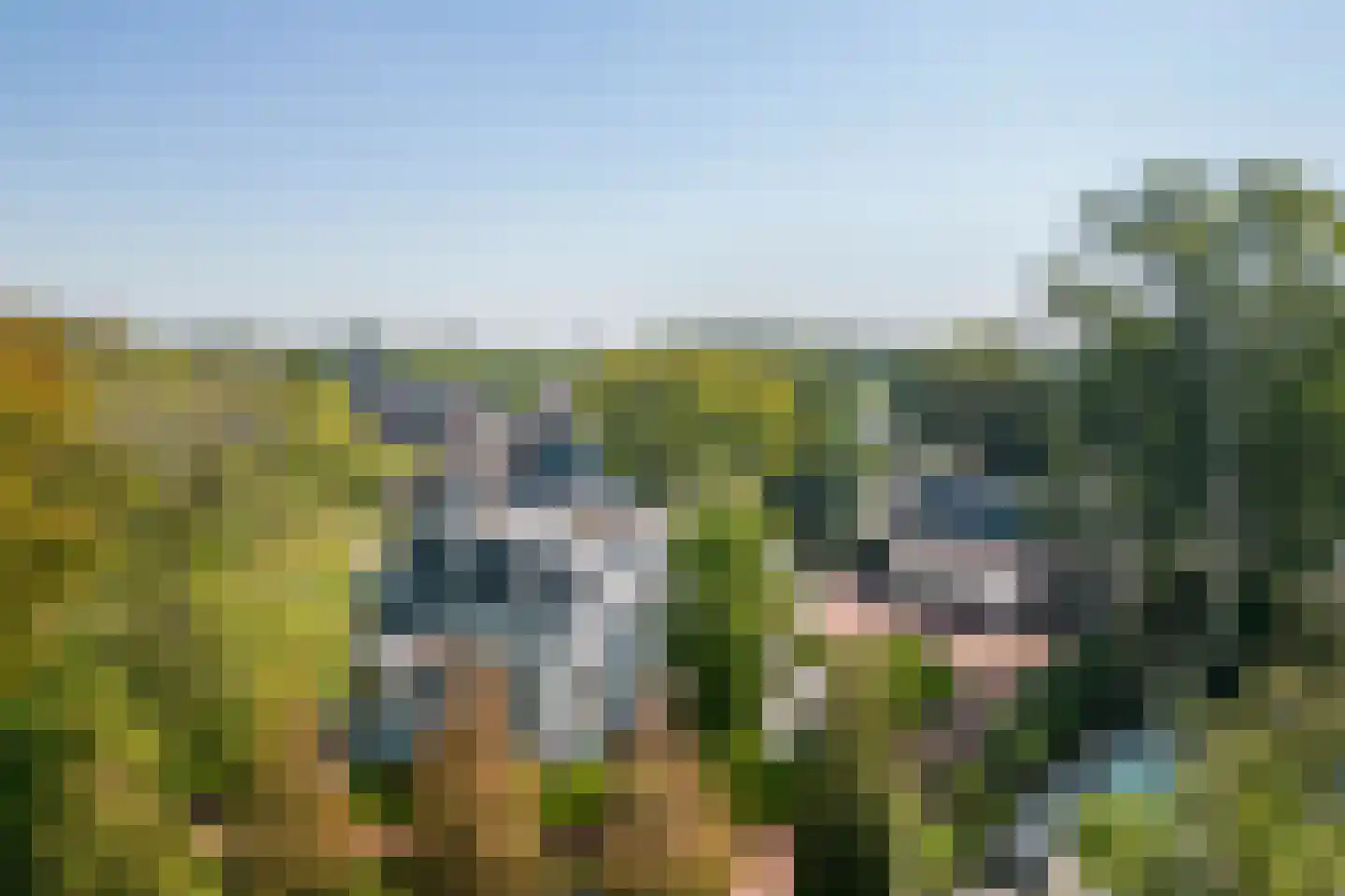 Bosscheweg 85 Boxtel thumbnail 20