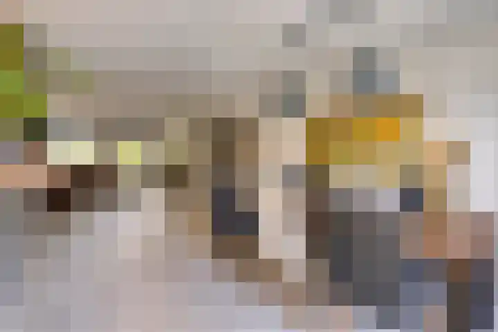 Bossebaan 10 Haaren thumbnail 12