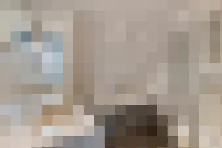 Bossebaan 10 Haaren thumbnail 20