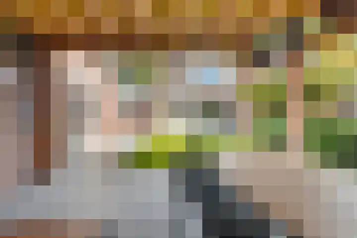 Bossebaan 10 Haaren thumbnail 28