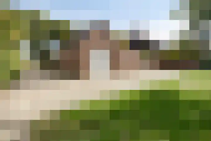 Bossebaan 10 Haaren thumbnail 30