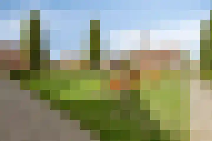 Bossebaan 10 Haaren thumbnail 31