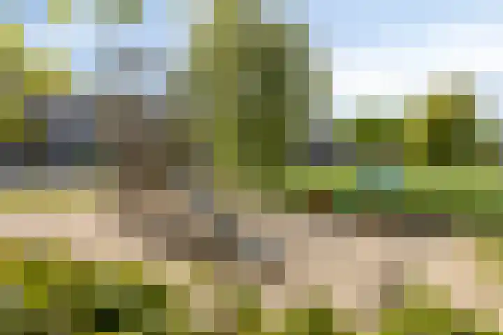 Bossebaan 10 Haaren thumbnail 32