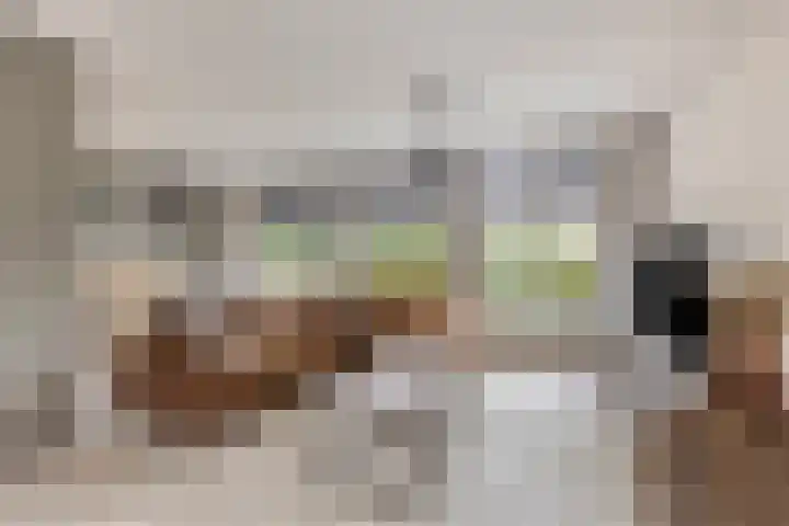 Bossebaan 10 Haaren thumbnail 6