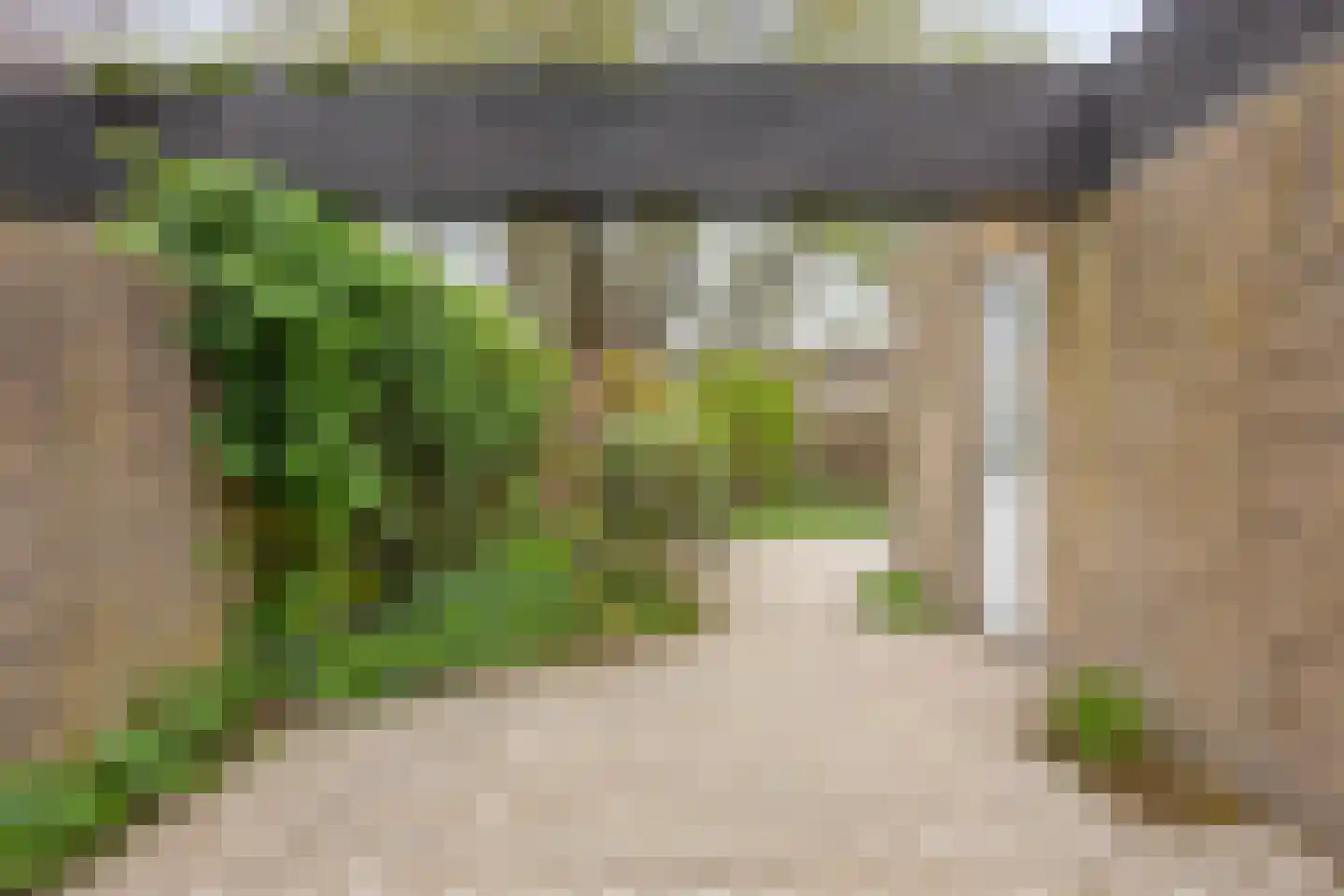 Bossebaan 11 Veldhoven thumbnail 25