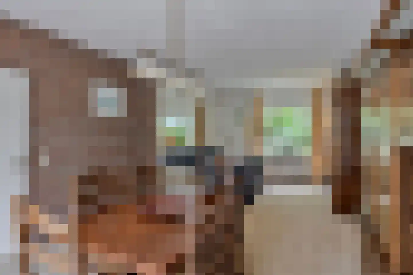 Bossebaan 11 Veldhoven thumbnail 7