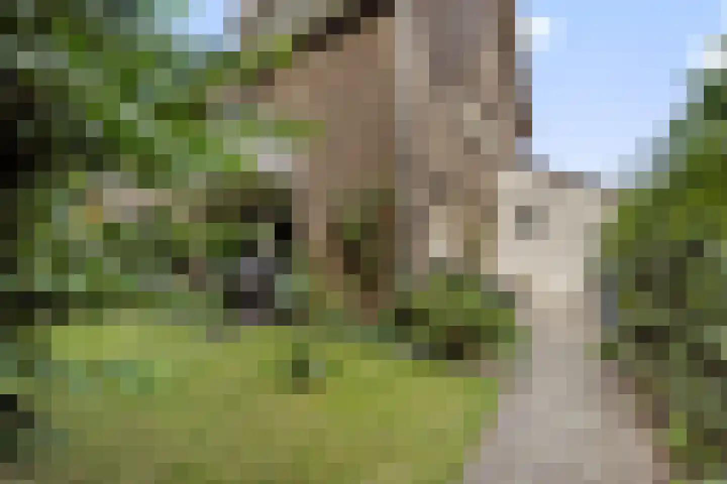 Bossebaan 23 Veldhoven thumbnail 11