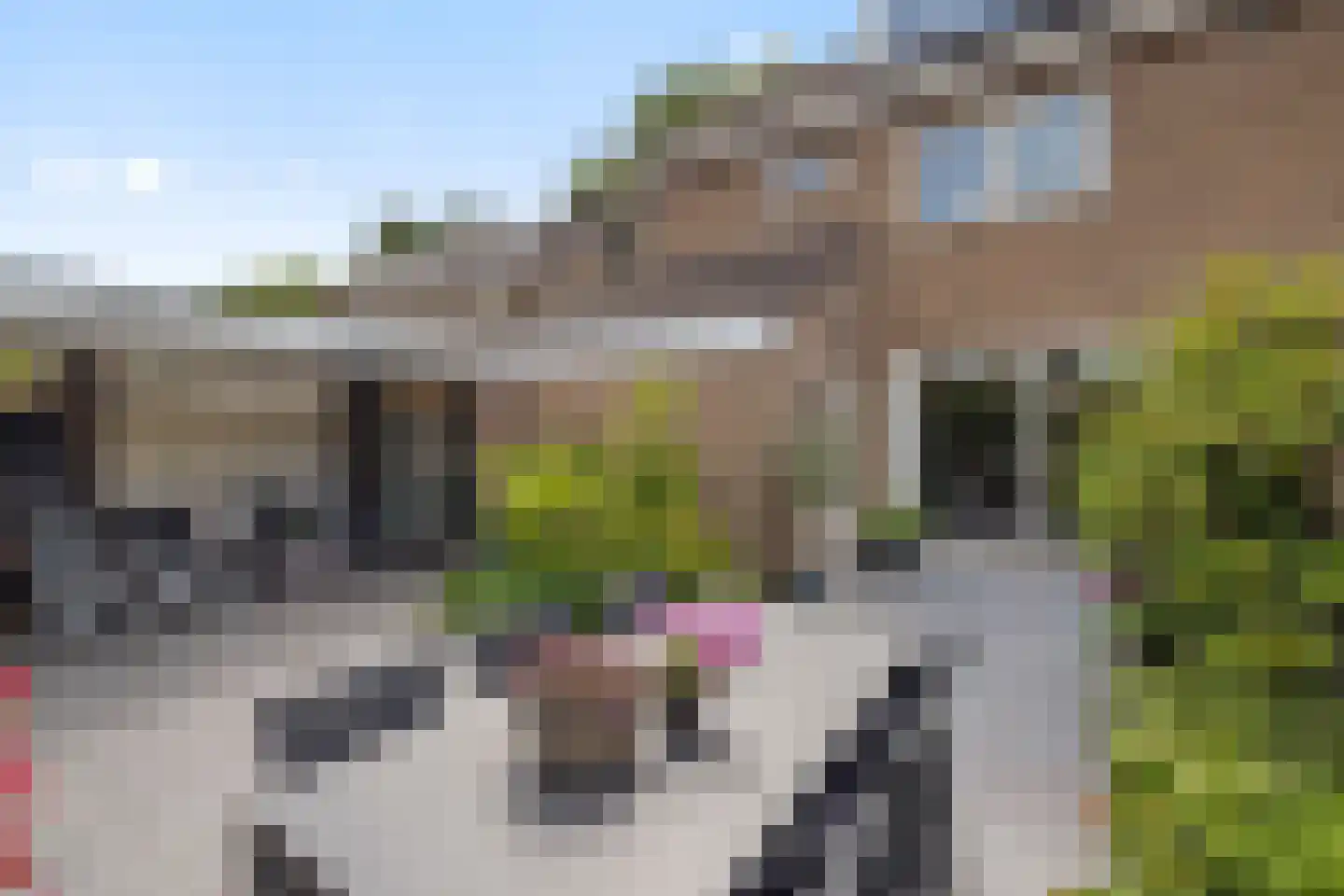 Bossebaan 23 Veldhoven thumbnail 73