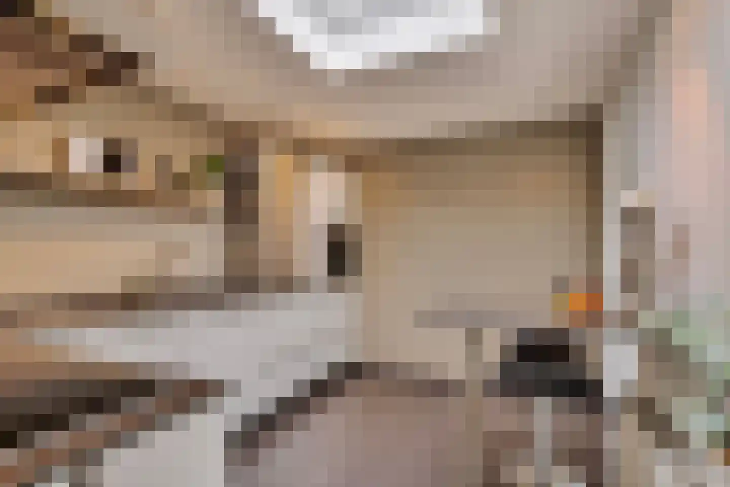 Bossebaan 31 Veldhoven thumbnail 21