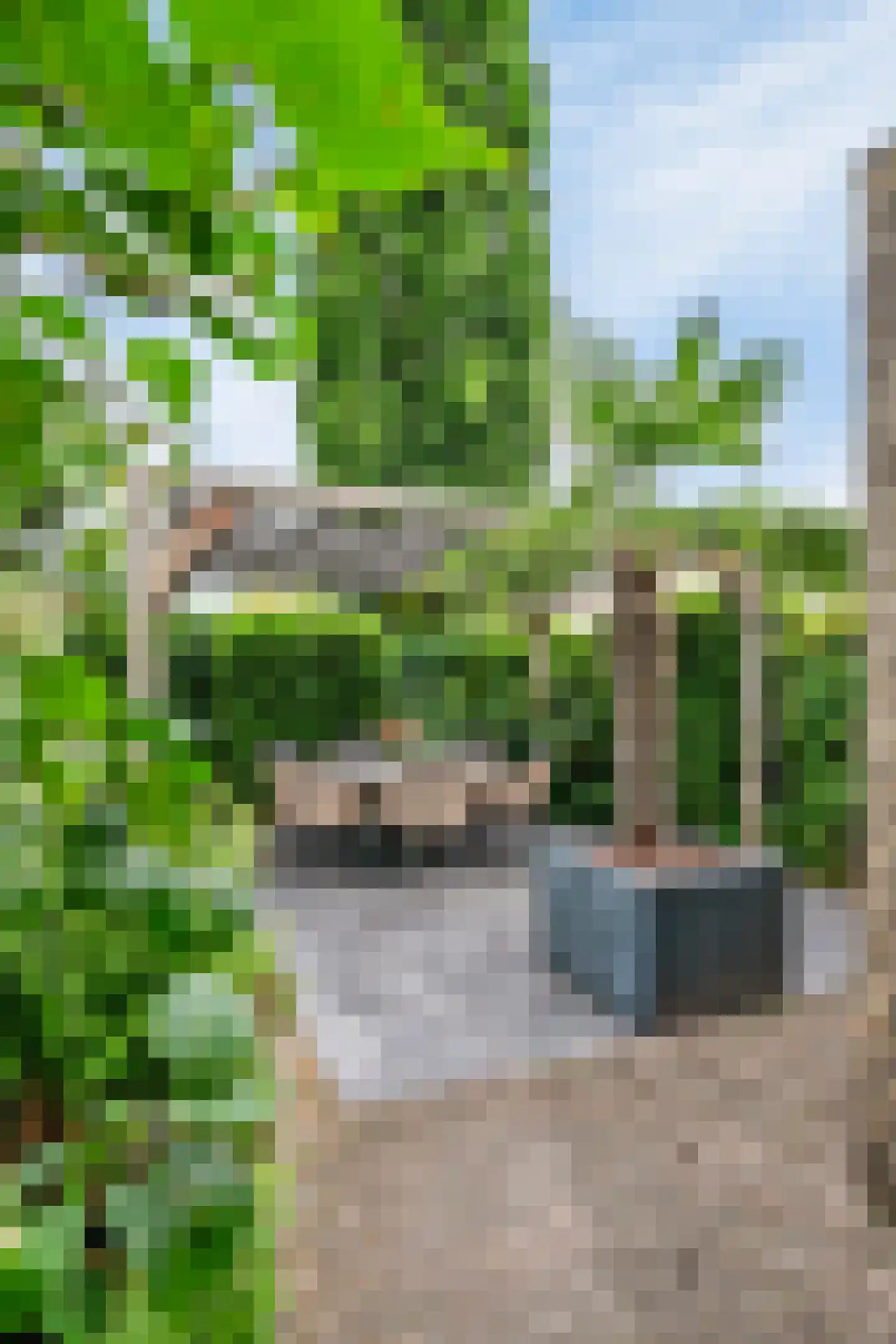 Bossebaan 31 Veldhoven thumbnail 39