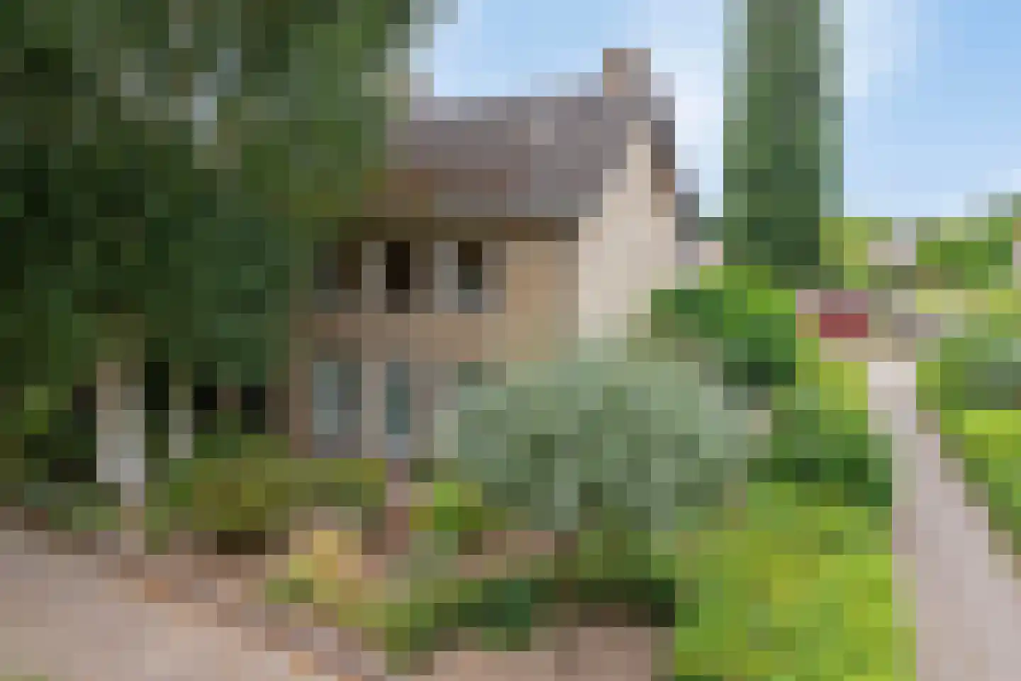 Bossebaan 31 Veldhoven thumbnail 48