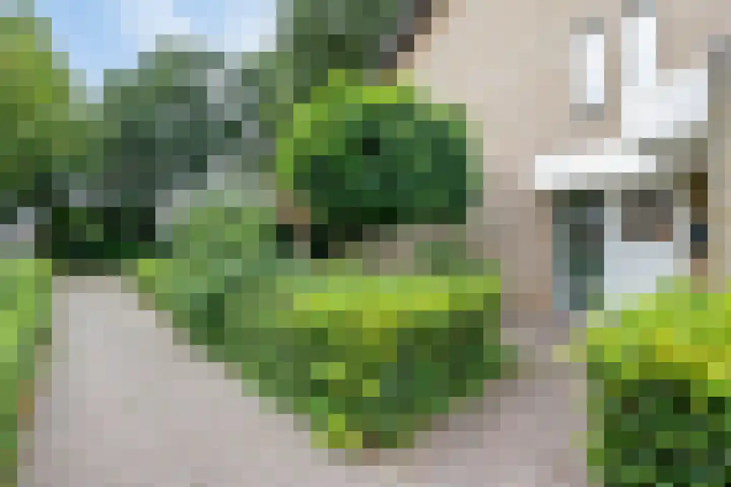 Bossebaan 31 Veldhoven thumbnail 6