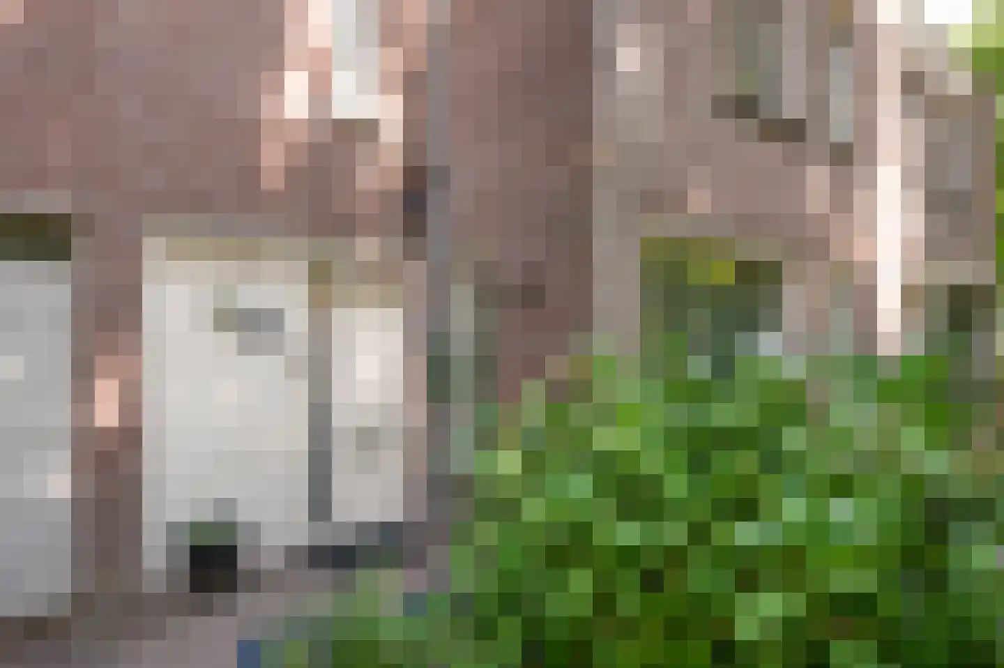 Bossebaan 59 Veldhoven thumbnail 32
