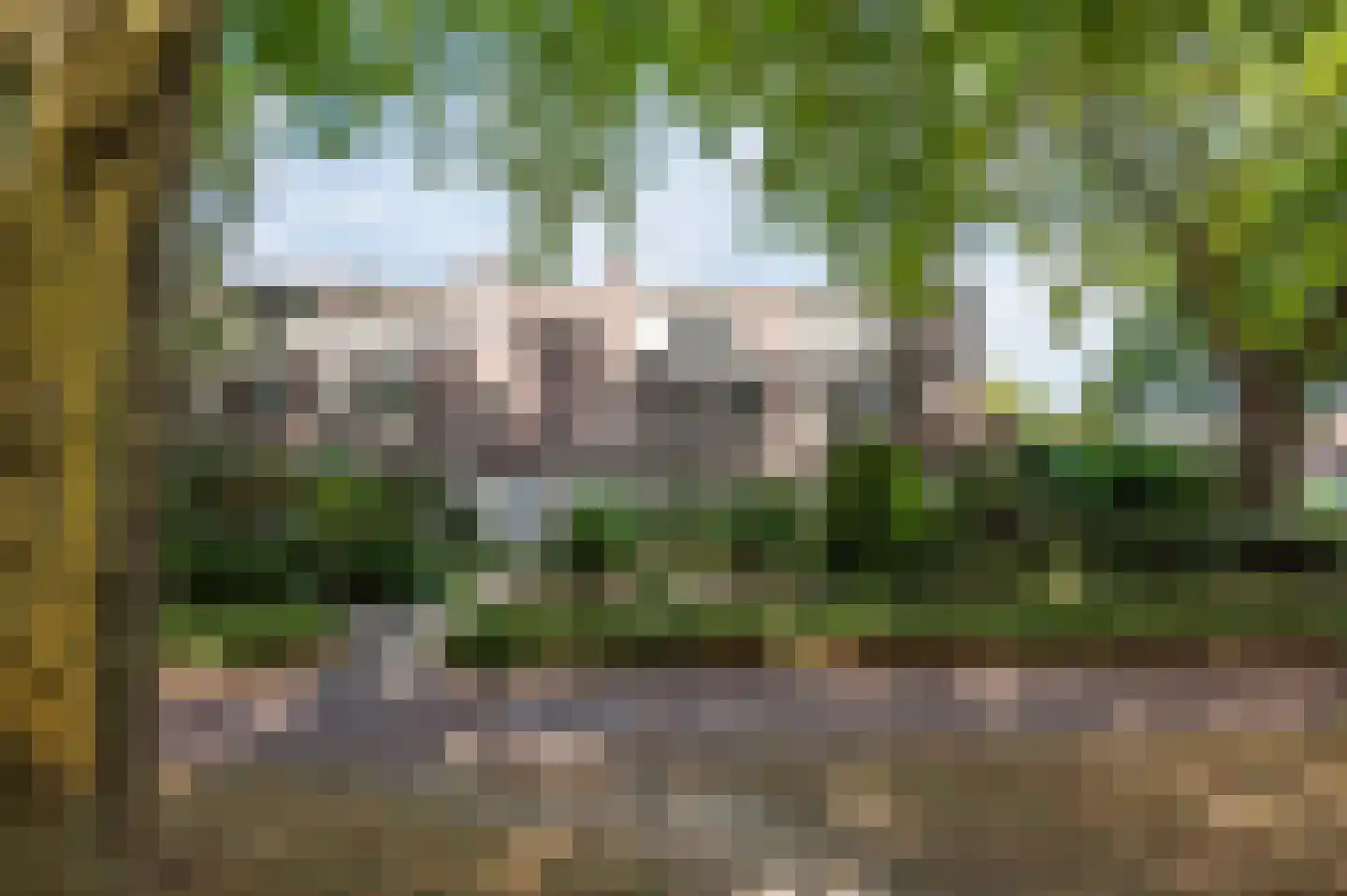 Bossebaan 59 Veldhoven thumbnail 37