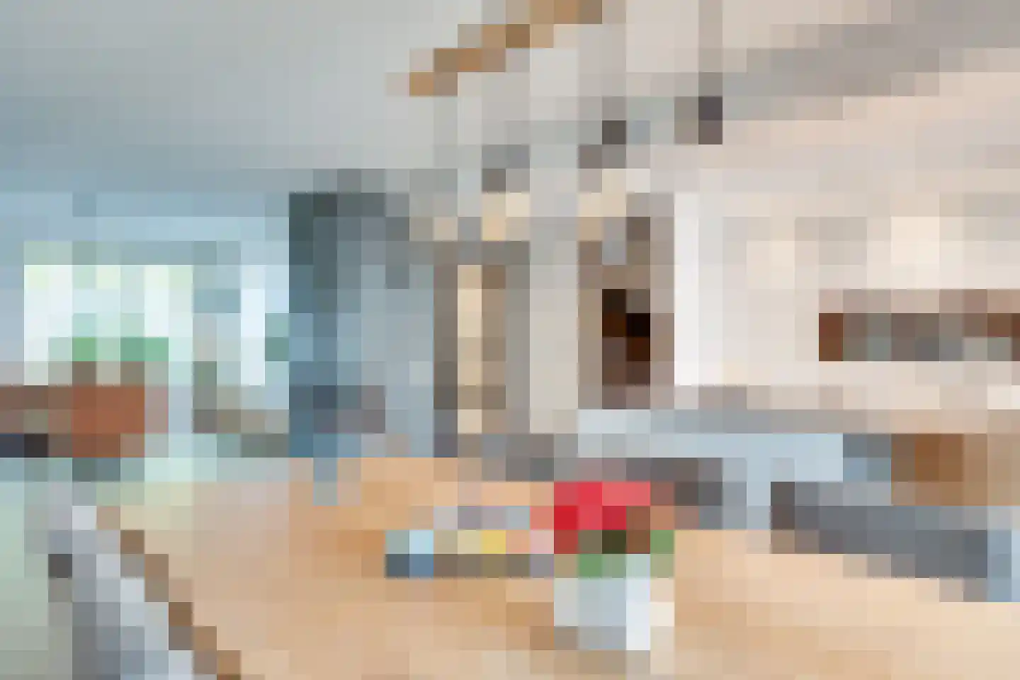 Bossebaan 59 Veldhoven thumbnail 8