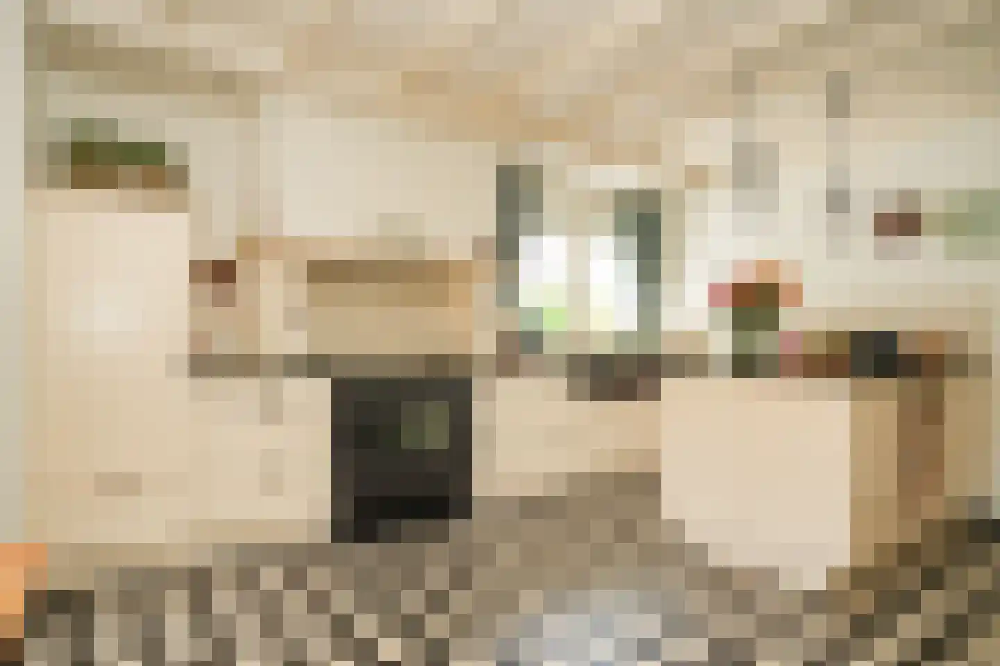 Bosseestraat 18 Beneden-Leeuwen thumbnail 16