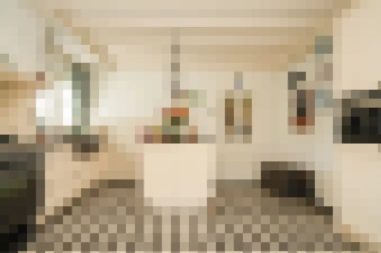 Bosseestraat 18 Beneden-Leeuwen thumbnail 18