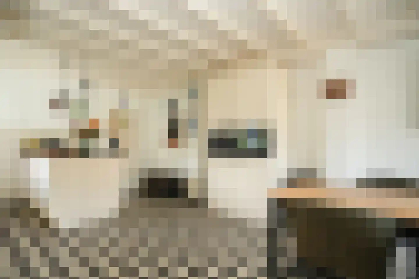 Bosseestraat 18 Beneden-Leeuwen thumbnail 20