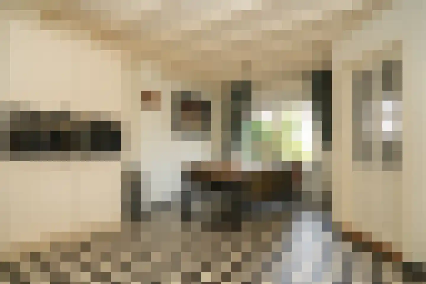 Bosseestraat 18 Beneden-Leeuwen thumbnail 21