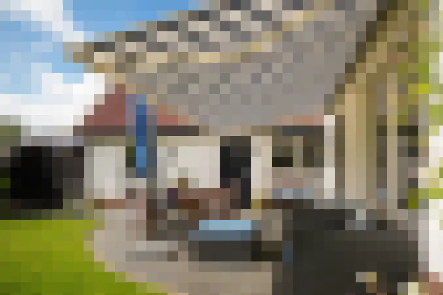 Bosseestraat 18 Beneden-Leeuwen thumbnail 39