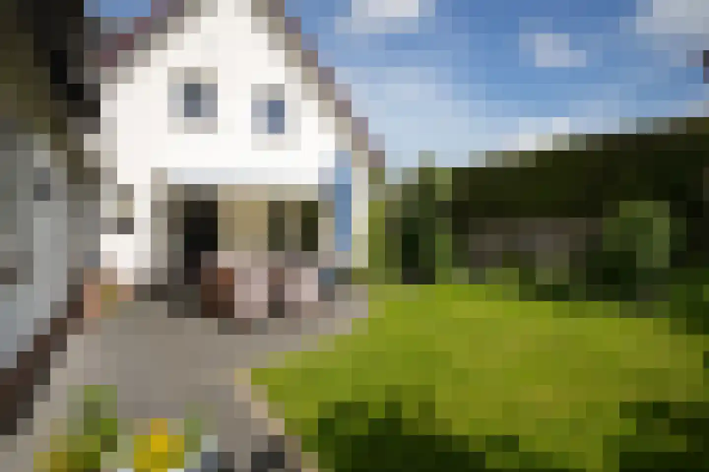 Bosseestraat 18 Beneden-Leeuwen thumbnail 42