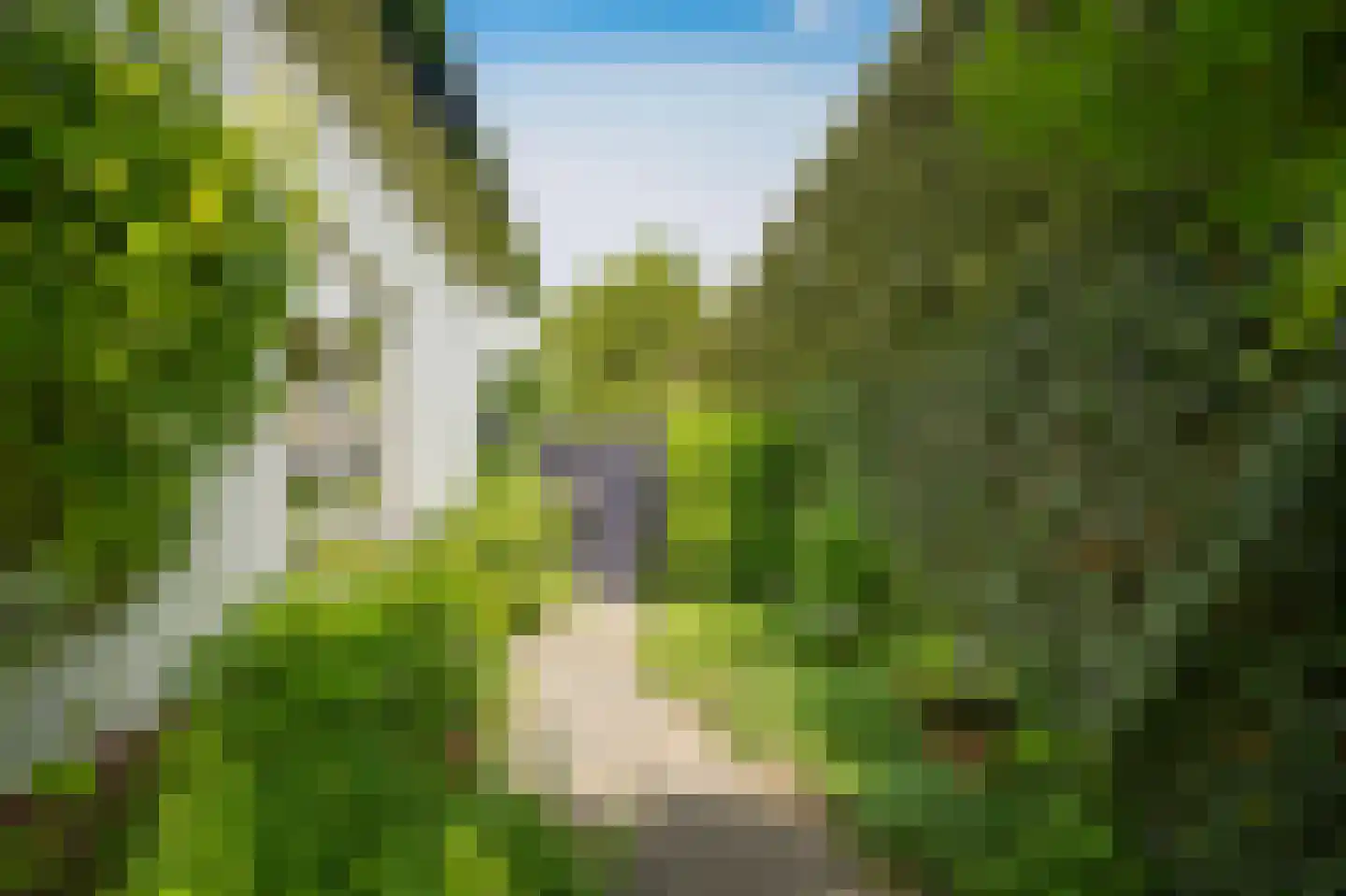 Bosseestraat 18 Beneden-Leeuwen thumbnail 46