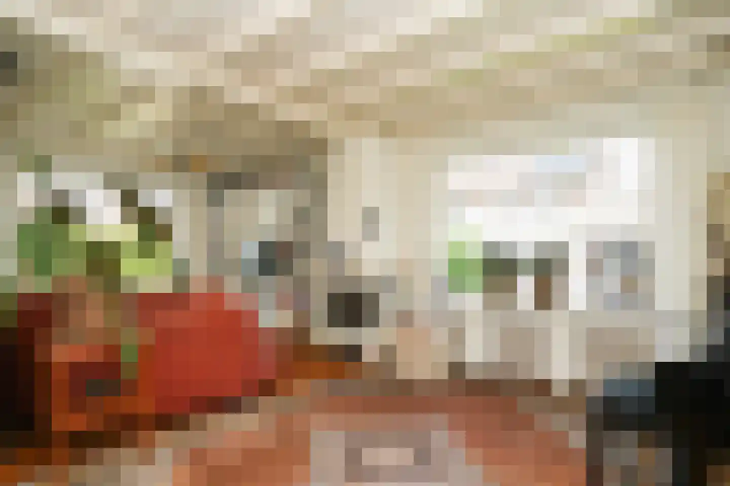 Bosseestraat 18 Beneden-Leeuwen thumbnail 5